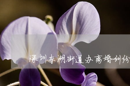 深圳东湖街道办离婚纠纷律师价格 深圳东湖街道办离婚纠纷律师价格