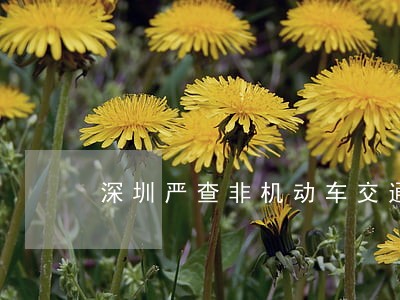 深圳严查非机动车交通违法