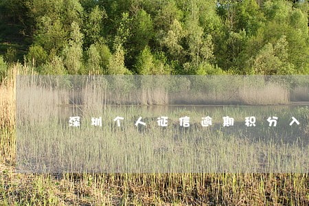 深圳个人征信逾期积分入户