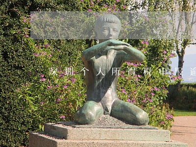深圳个人所得税申报逾期