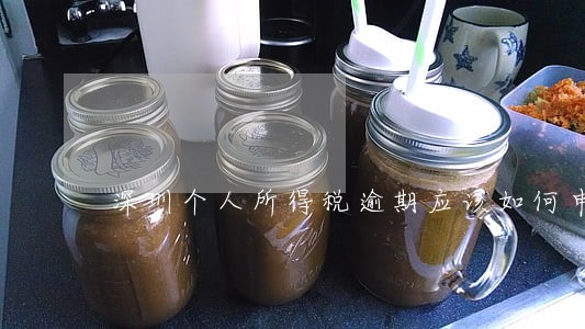 深圳个人所得税逾期应该如何申报 深圳个人所得税逾期应该如何申报