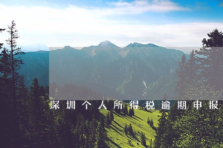 深圳个人所得税逾期申报吗 深圳个人所得税逾期申报吗