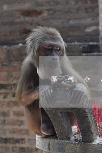 深圳个人所得税逾期申报罚款 深圳个人所得税逾期申报罚款