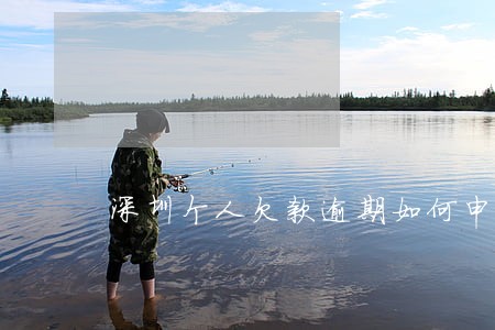 深圳个人欠款逾期如何申请 深圳个人欠款逾期如何申请