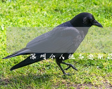 深圳个人税务逾期罚款 深圳个人税务逾期罚款