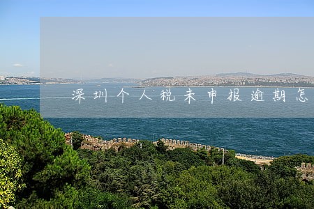 深圳个人税未申报逾期怎么办 深圳个人税未申报逾期怎么办