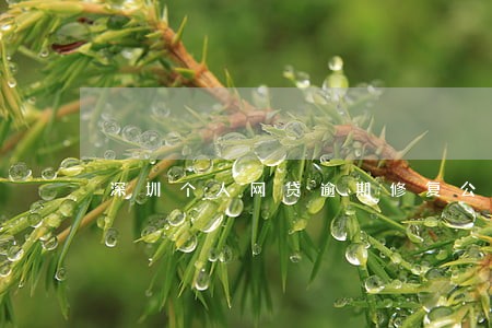 深圳个人网贷逾期修复公司 深圳个人网贷逾期修复公司