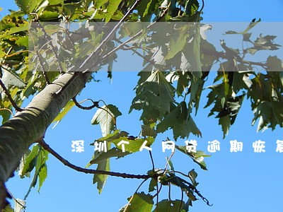 深圳个人网贷逾期恢复电话 深圳个人网贷逾期恢复电话