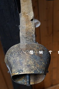 深圳个体年报逾期罚款吗 深圳个体年报逾期罚款吗