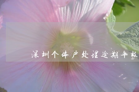 深圳个体户处理逾期年报