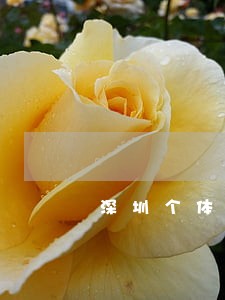 深圳个体户年报逾期怎么办 深圳个体户年报逾期怎么办
