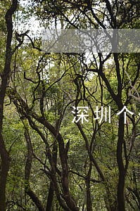 深圳个体户怎么补报逾期工商年报 深圳个体户怎么补报逾期工商年报