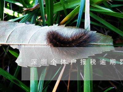 深圳个体户报税逾期罚款 深圳个体户报税逾期罚款