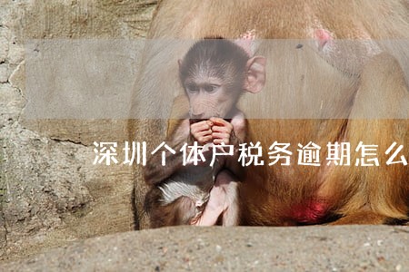 深圳个体户税务逾期怎么办 深圳个体户税务逾期怎么办