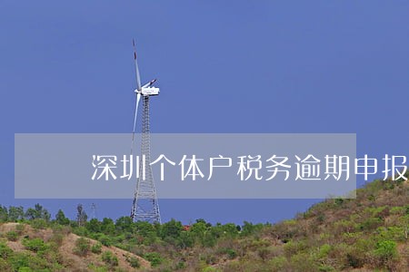 深圳个体户税务逾期申报罚款 深圳个体户税务逾期申报罚款