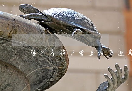 深圳个体户营业执照逾期报税 深圳个体户营业执照逾期报税