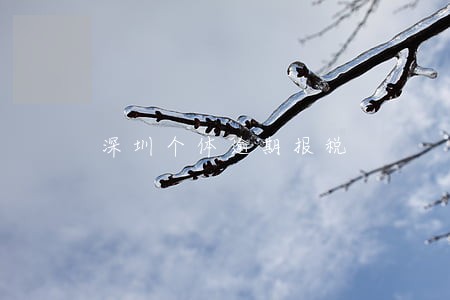 深圳个体逾期报税 深圳个体逾期报税