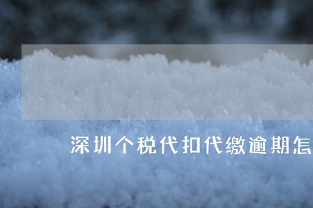 深圳个税代扣代缴逾期怎么处理 深圳个税代扣代缴逾期怎么处理