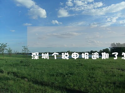 深圳个税申报逾期了怎么办 深圳个税申报逾期了怎么办