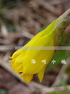 深圳个税申报逾期罚款 深圳个税申报逾期罚款