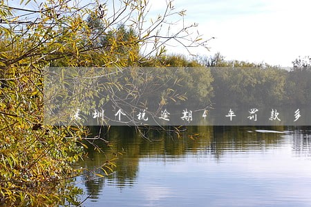深圳个税逾期4年罚款多少钱 深圳个税逾期4年罚款多少钱