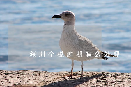 深圳个税逾期怎么处理 深圳个税逾期怎么处理
