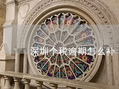 深圳个税逾期怎么补 深圳个税逾期怎么补