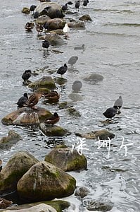 深圳个税逾期期限 深圳个税逾期期限