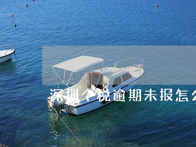 深圳个税逾期未报怎么办 深圳个税逾期未报怎么办