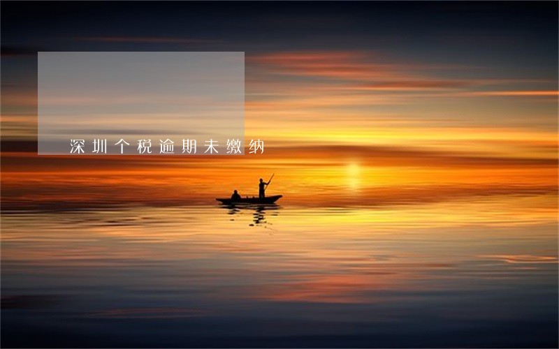 深圳个税逾期未缴纳 深圳个税逾期未缴纳