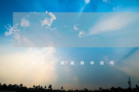 深圳个税逾期申报吗 深圳个税逾期申报吗