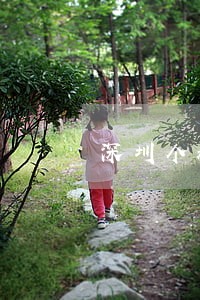 深圳个税逾期罚款 深圳个税逾期罚款