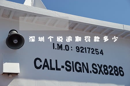 深圳个税逾期罚款多少 深圳个税逾期罚款多少