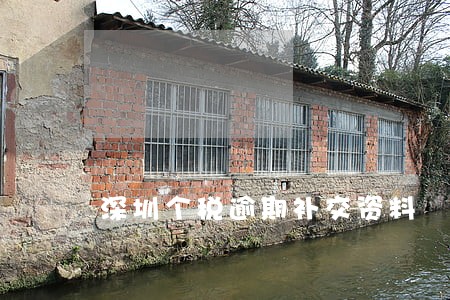 深圳个税逾期补交资料 深圳个税逾期补交资料