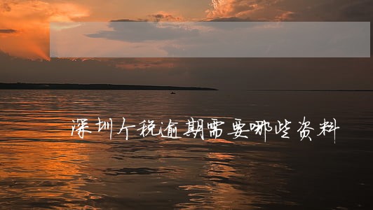 深圳个税逾期需要哪些资料 深圳个税逾期需要哪些资料