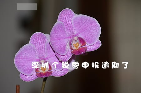 深圳个税零申报逾期了 深圳个税零申报逾期了