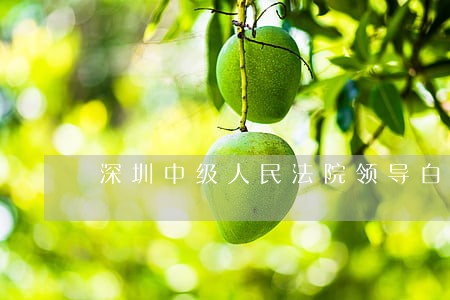 深圳中级人民法院领导白鉴波 深圳中级人民法院领导白鉴波