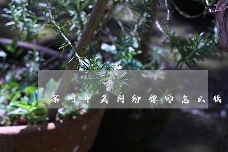 深圳中美纠纷律师怎么收费 深圳中美纠纷律师怎么收费