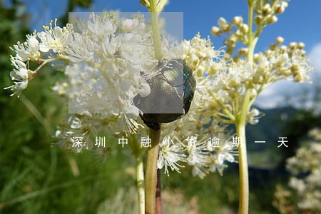 深圳中融小贷逾期一天 深圳中融小贷逾期一天