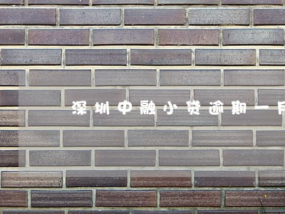 深圳中融小贷逾期一月 深圳中融小贷逾期一月