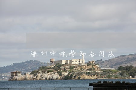 深圳中院劳动合同法 深圳中院劳动合同法