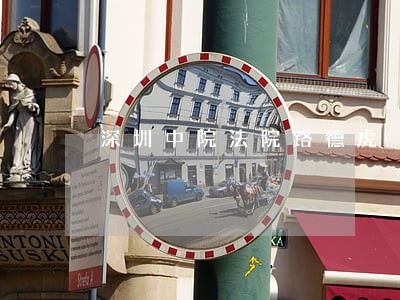 深圳中院法院路德虎 深圳中院法院路德虎