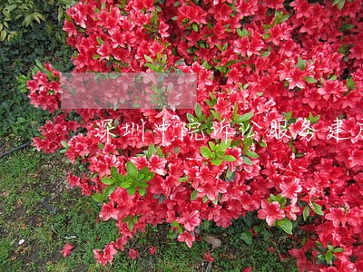 深圳中院诉讼服务建成 深圳中院诉讼服务建成