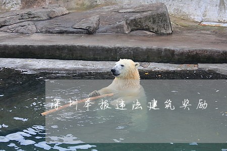 深圳举报违法建筑奖励 深圳举报违法建筑奖励