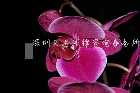 深圳义浩法律咨询事务所 深圳义浩法律咨询事务所