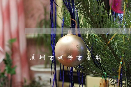 深圳书城借书逾期 深圳书城借书逾期