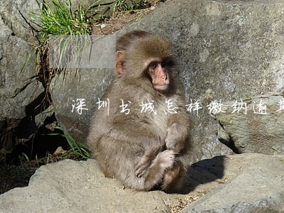 深圳书城怎样缴纳逾期欠费