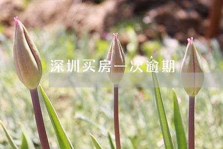 深圳买房一次逾期 深圳买房一次逾期