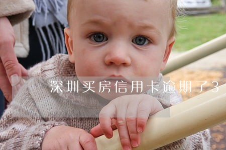 深圳买房信用卡逾期了3次 深圳买房信用卡逾期了3次