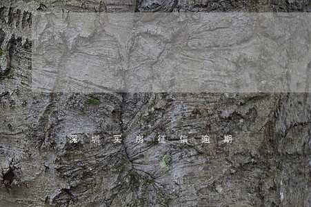 深圳买房征信逾期 深圳买房征信逾期